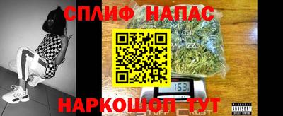 крисы Малгобек