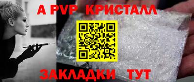 крисы Малгобек