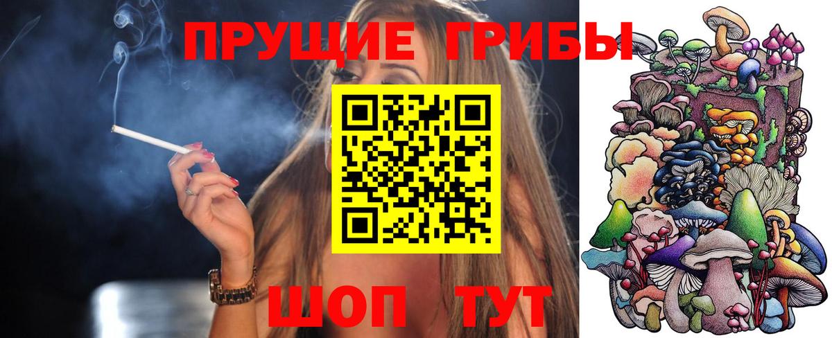 дарнет шоп  Вход с VPN  Иркутск  Галлюциногенные грибы MAGIC MUSHROOMS 